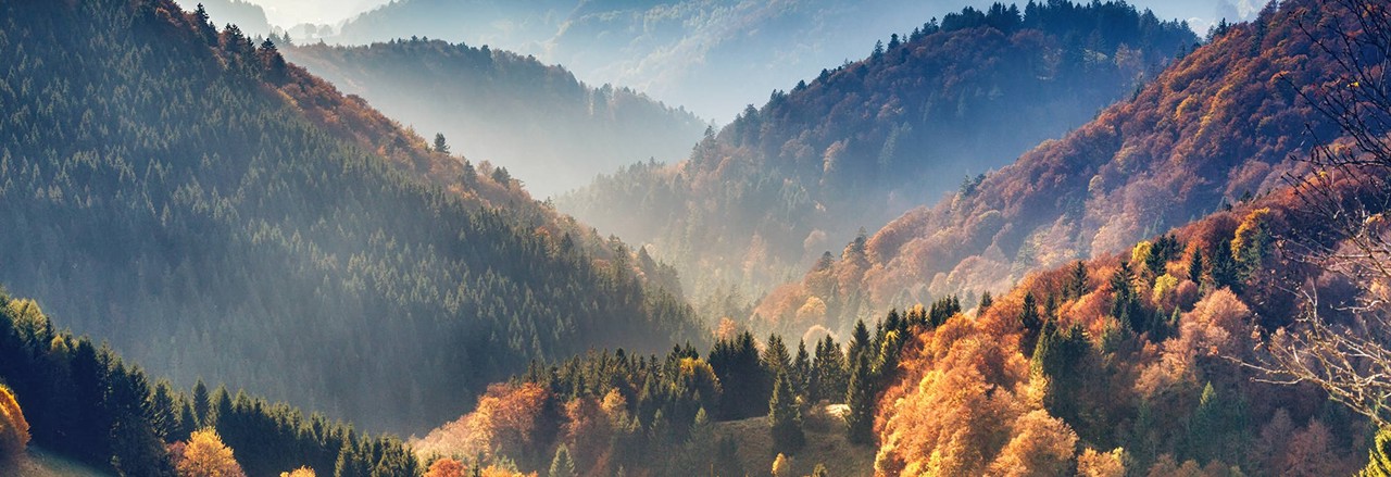 Scenic mountain landscape. View on the Black Forest, Germany, covered in fog. Colorful travel background.; Shutterstock ID 1212988969; Purchase Order: TES 2033-001 ppt Präsentationsvorlage; Client/Licensee: faust&auge / Techem